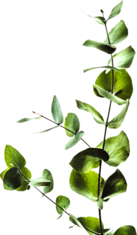leafI-image